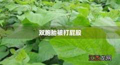 双胞胎姐妹蹦床 双胞胎被打屁股