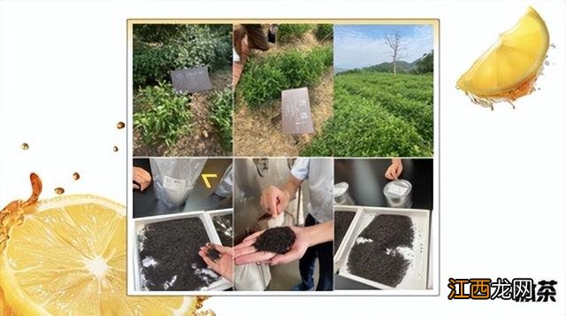 元气森林饮料过期了还能喝吗 元气森林饮料