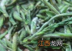 天目青顶的功效与作用 天青叶的功效与作用