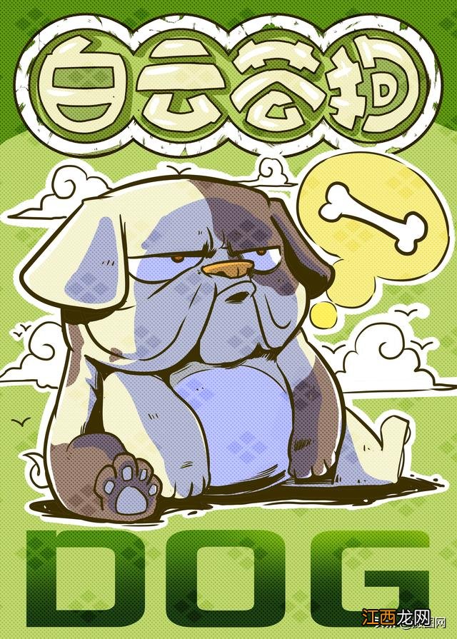 画十二生肖的动物 画十二生肖