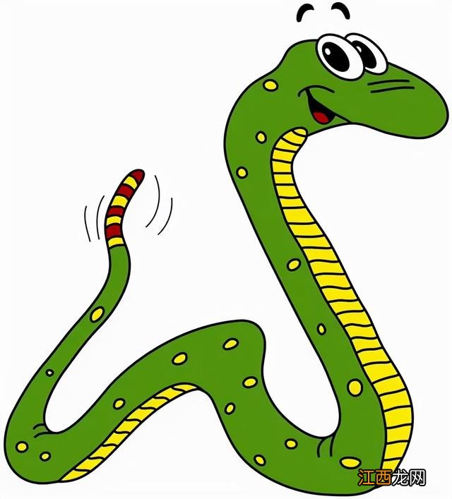 蛇吃老鼠吗蛇吃兔吗 蛇吃老鼠吗