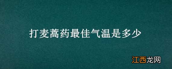 麦蒿什么时候打药最好 打麦蒿药最佳气温是多少