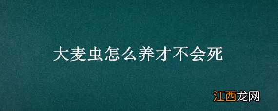 为什么大麦虫养不活 大麦虫怎么养才不会死