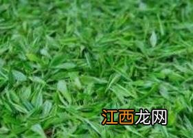 绿茶有哪些品牌 绿茶有哪些