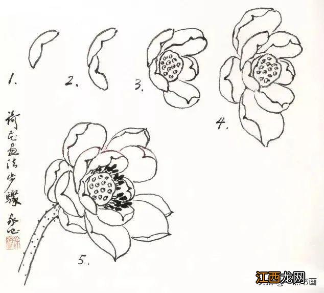 荷叶的简笔画怎么画 荷叶的简笔画