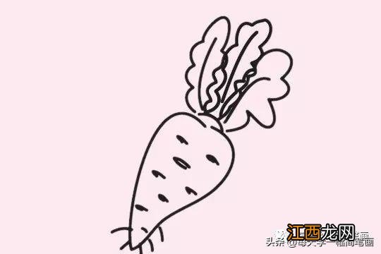 胡萝卜图片简笔画
