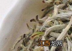 如何鉴定白茶品质 白茶怎么看品质