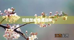 考试犯困怎么快速提神 犯困怎么快速提神