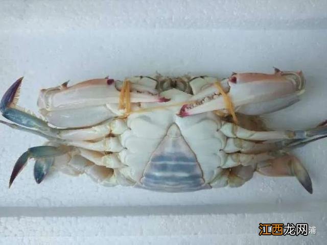 大闸蟹什么月份吃最好 梭子蟹几月份最肥