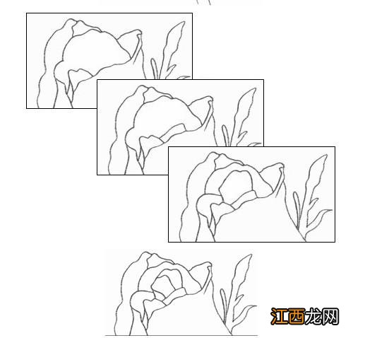 玫瑰花怎么画 玫瑰花简单画法