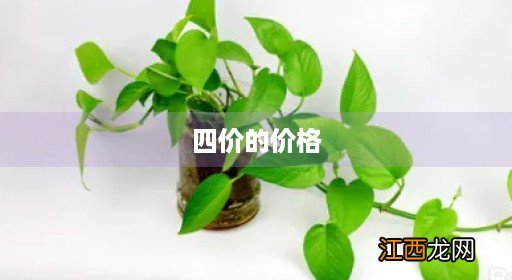 宫颈癌疫苗二价和四价的价格 四价的价格