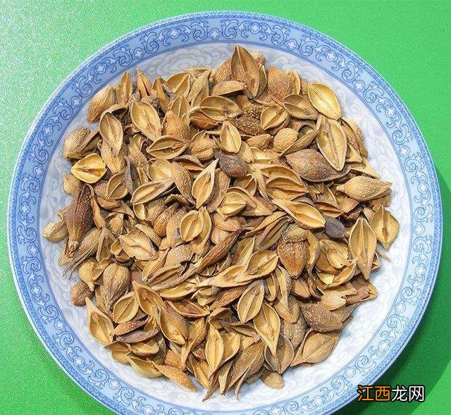 六种人不宜吃益生菌 枯草杆菌的作用