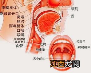 儿童扁桃体化脓第几天最严重 儿童扁桃体化脓