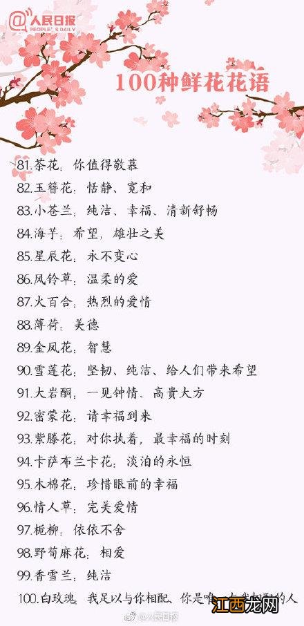 卡布奇诺鲜花寓意 鲜花寓意