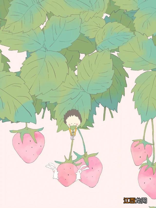 男女夫妻最佳年龄差 夫妻最佳年龄差