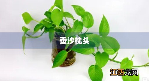 蚕沙枕头一般用多少年 蚕沙枕头