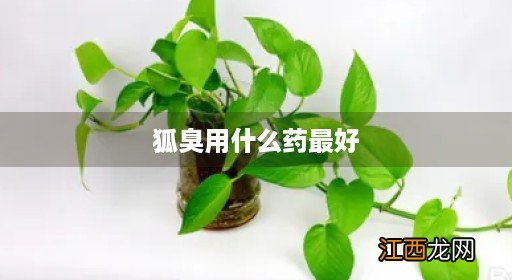 重度狐臭用什么药最好 狐臭用什么药最好