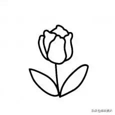 三叶草简笔画图片大全大图 三叶草简笔画