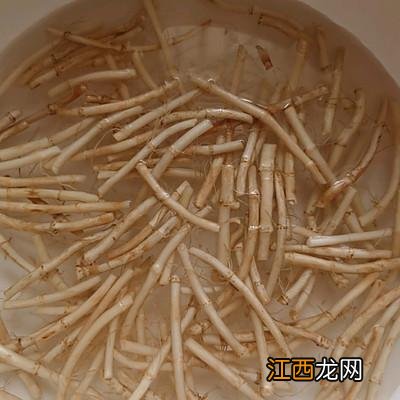 鱼腥草煲瘦肉汤的功效 鱼腥草汤