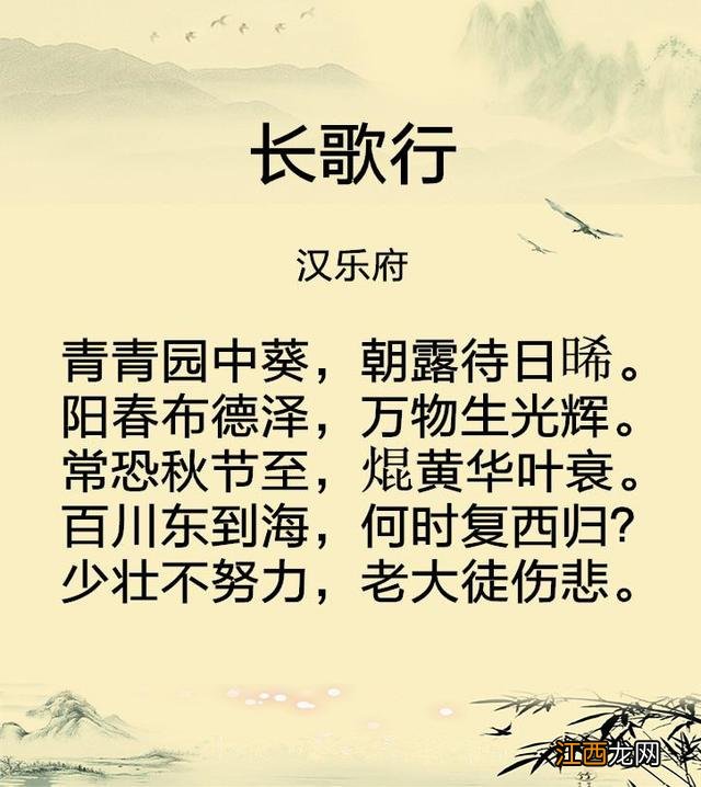 长歌行译文少 长歌行译文