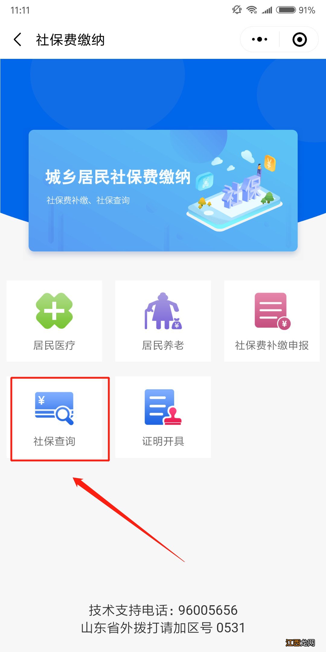 泰安新农合医保缴费查询入口 山东泰安新农合医疗网上缴费