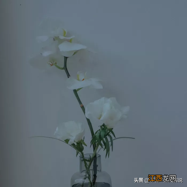 写老师作文的开头 坚持作文开头