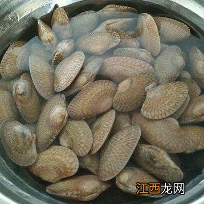 花甲算不算海鲜发物 花甲算不算海鲜