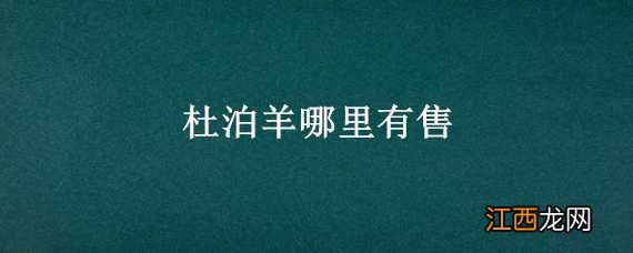 杜泊羊哪里有售 杜泊羊哪里有卖