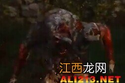 《巫师3：狂猎》怪物图鉴一览攻略 巫师3 怪物图鉴