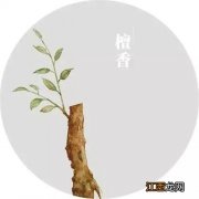 房间点檀香的作用 檀香的作用