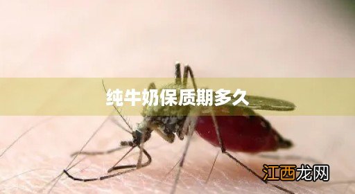 金典纯牛奶保质期多久 纯牛奶保质期多久