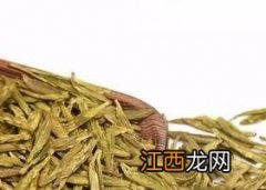 天台黄茶是什么茶 天台黄茶有什么功效