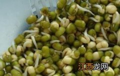 绿豆芽怎么发 绿豆芽怎么发豆芽的步骤图片日记