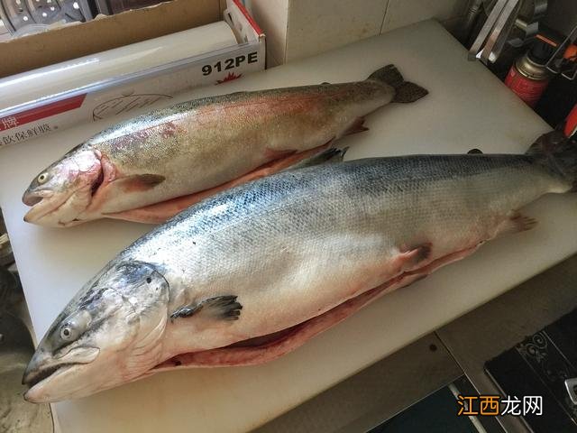 虹鳟鱼和三文鱼的区别哪个贵 虹鳟鱼和三文鱼的区别