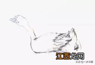 大白鹅怎么画简单一点 大白鹅怎么画