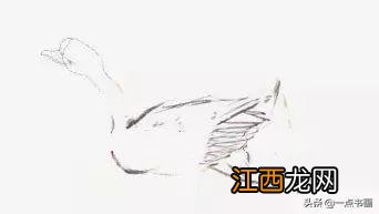 大白鹅怎么画简单一点 大白鹅怎么画