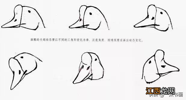 大白鹅怎么画简单一点 大白鹅怎么画