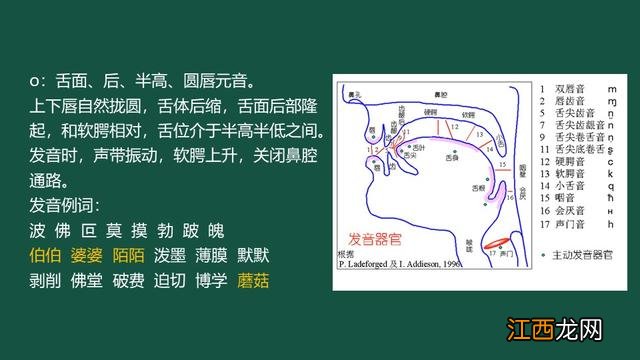 ong怎么发音 o怎么发音