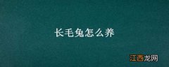 长毛兔怎么养才能挣钱 长毛兔怎么养