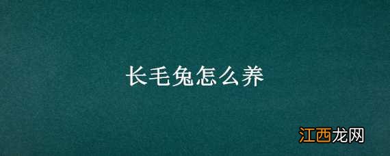 长毛兔怎么养才能挣钱 长毛兔怎么养