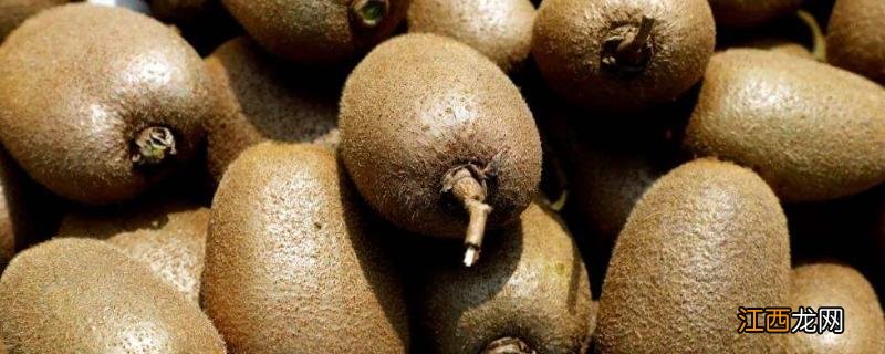 在果园中如何更好的让猕猴桃结果,猕猴桃的种植方法