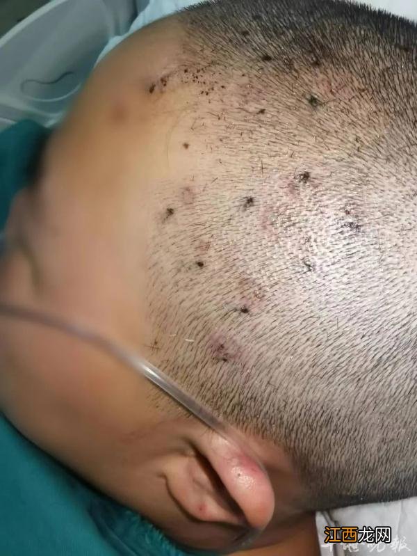 妈妈的眼睛儿歌歌词 妈妈的眼睛儿歌