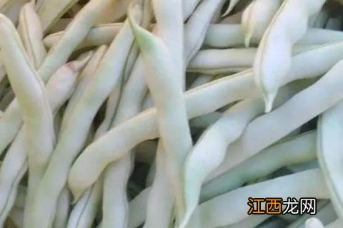 豆角种类名称及图片 豆角种类