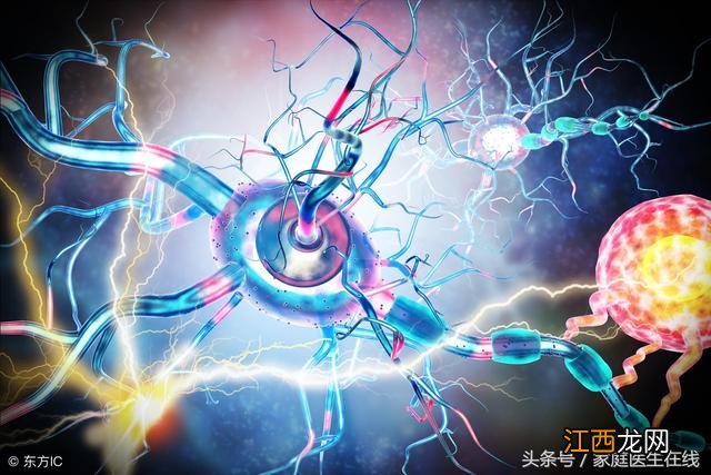 腰痛的原因有哪些需要检查什么 腰痛的原因有哪些