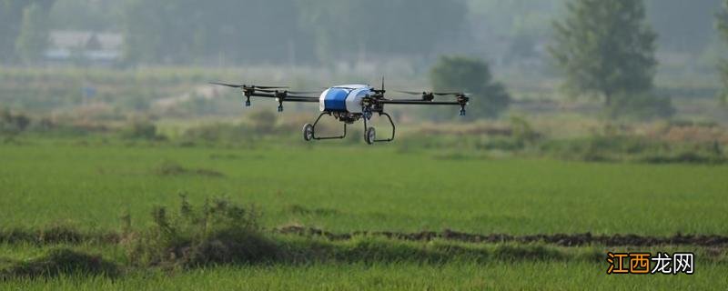 2甲灭草松能灭什么草，附使用方法和用量