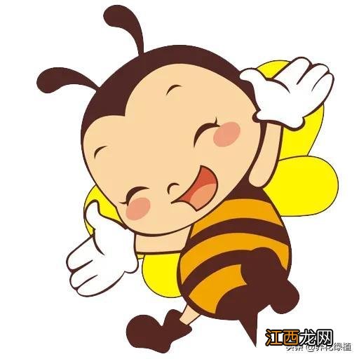 蝙蝠飞进家里预示什么意思 蝙蝠飞进家里预示什么