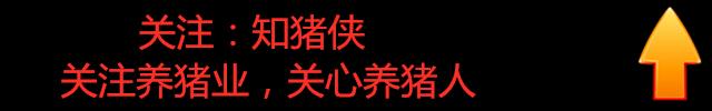 急性白血病吐血的原因 吐血的原因