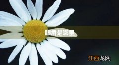 眼角哪里疼是怎么回事 眼角是哪里