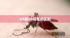 Hb和2b铅笔的区别在哪里 hb和2b铅笔的区别