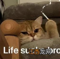 肩膀内扣能矫正过来吗 肩膀内扣